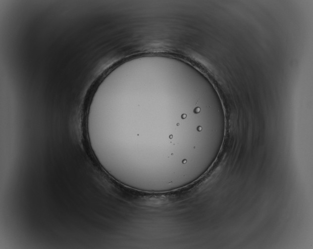 X0000100321410200806190953