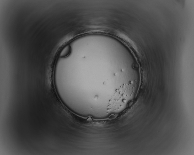 X0000100321411200806190953