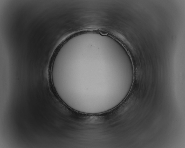 X0000100321412200806190953