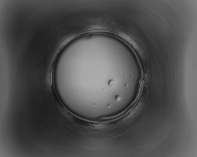 X0000100321413200806190953