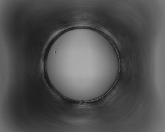 X0000100321416200806190953