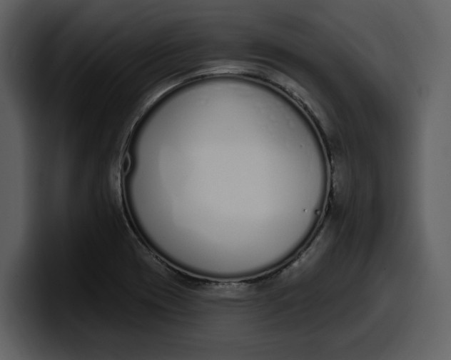 X0000100321417200806190953