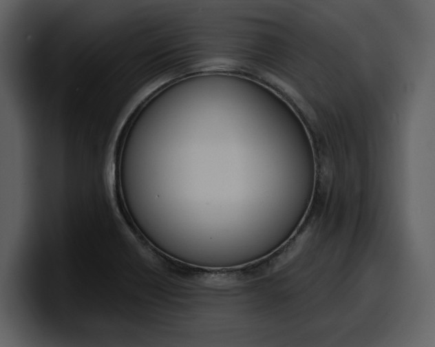 X0000100321418200806190953