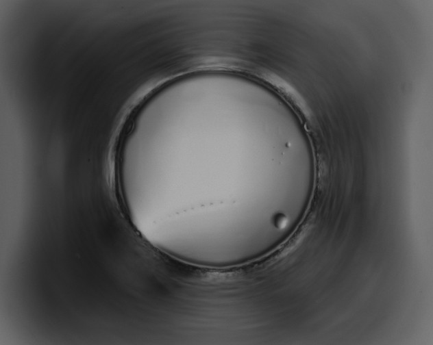 X0000100321419200806190953