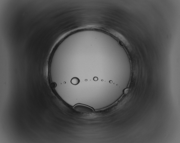 X0000100321420200806190953