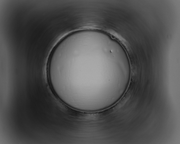 X0000100321423200806190953