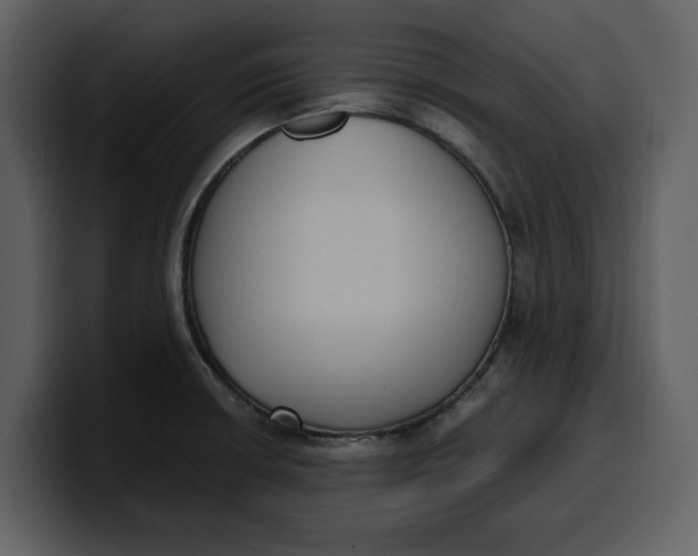 X0000100321426200806190954