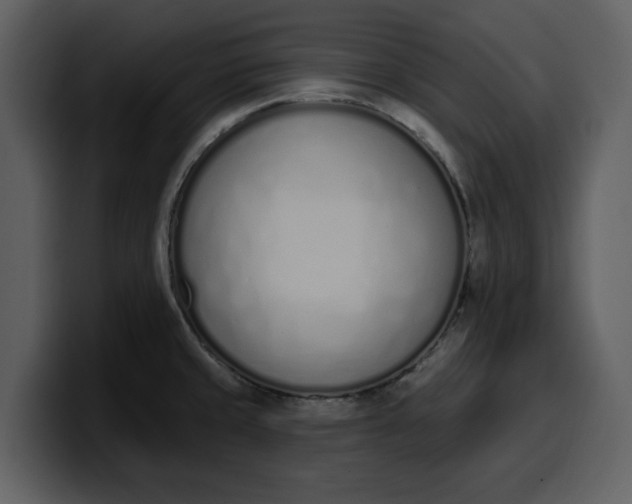 X0000100321429200806190954