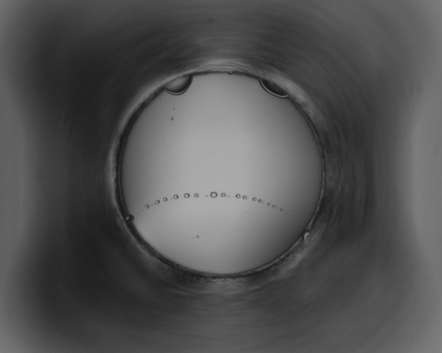 X0000100321430200806190954