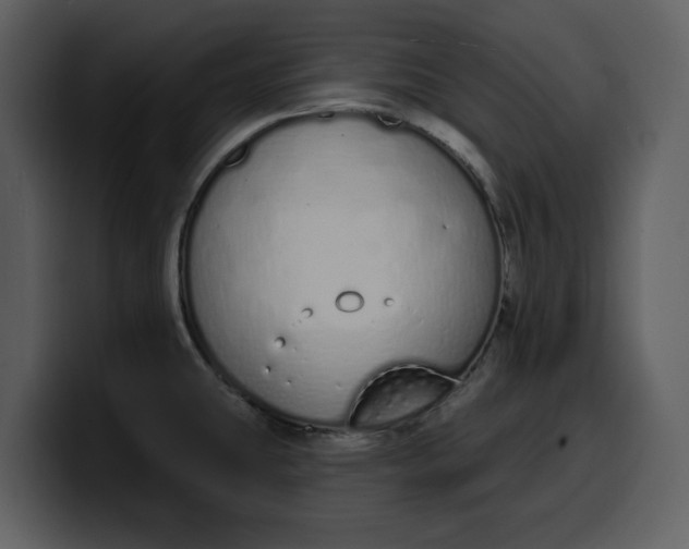 X0000100321431200806190954