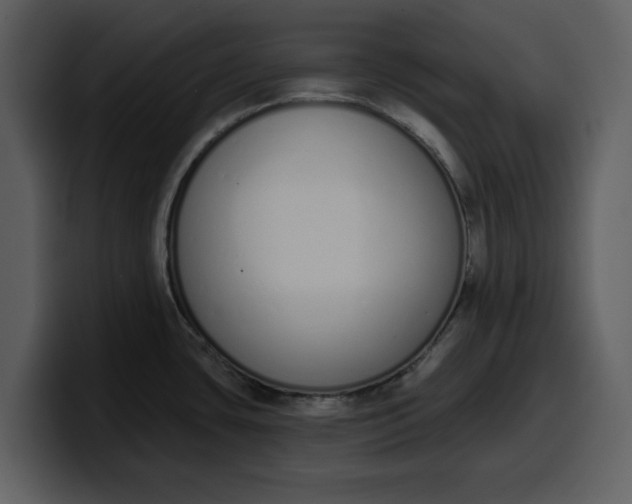 X0000100321435200806190954