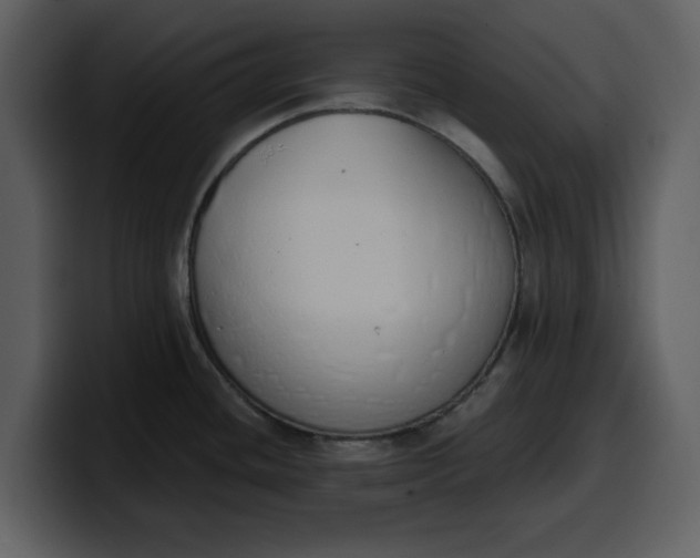 X0000100321436200806190954