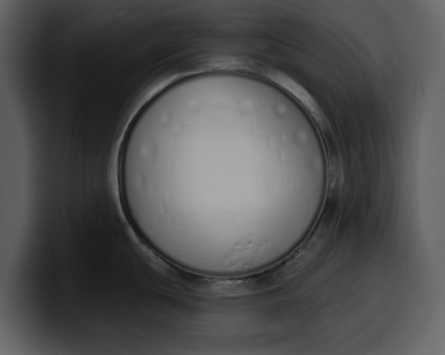 X0000100321439200806190954