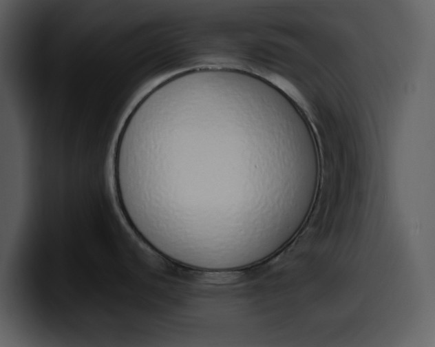 X0000100321440200806190954