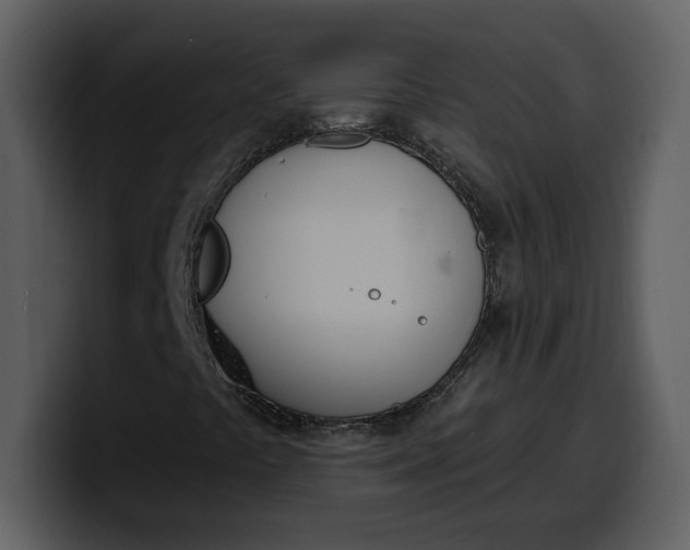 X0000100321441200806190953