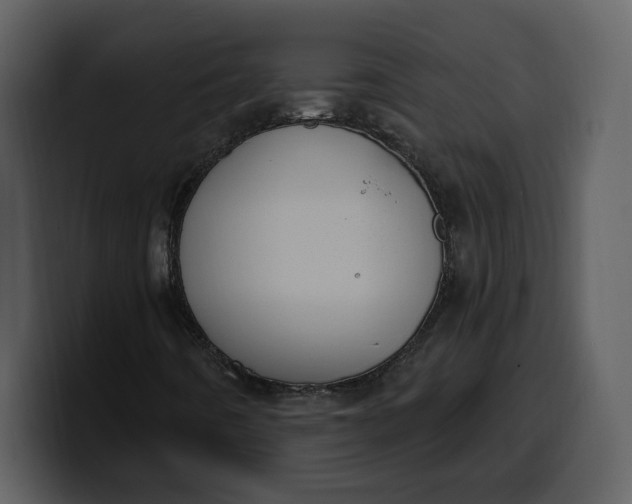 X0000100321442200806190953