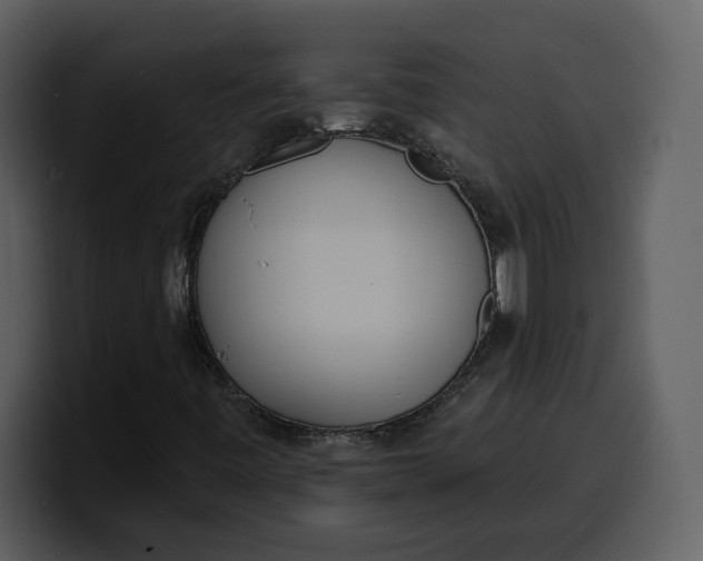 X0000100321443200806190953