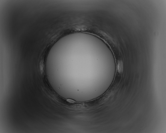 X0000100321444200806190953