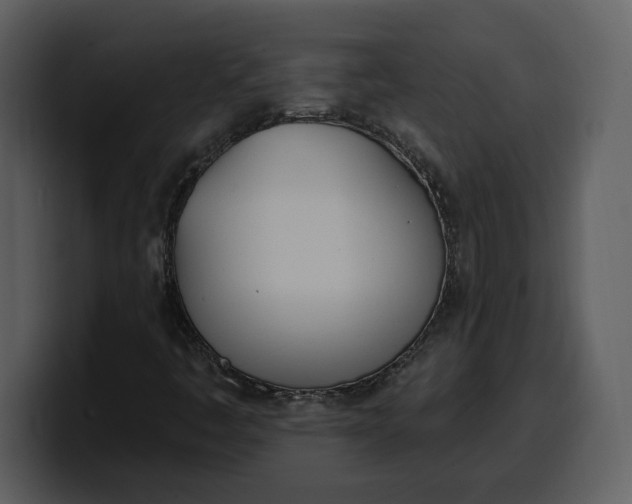 X0000100321445200806190953