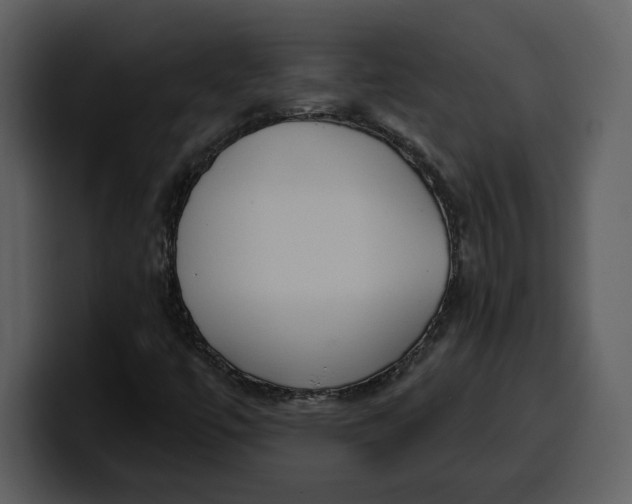 X0000100321447200806190953