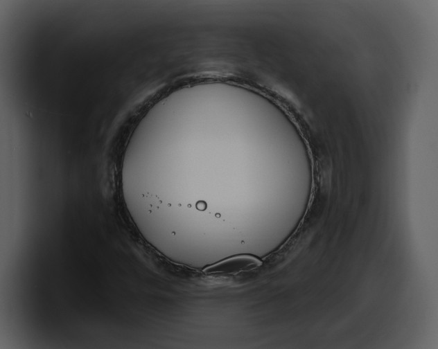 X0000100321448200806190953