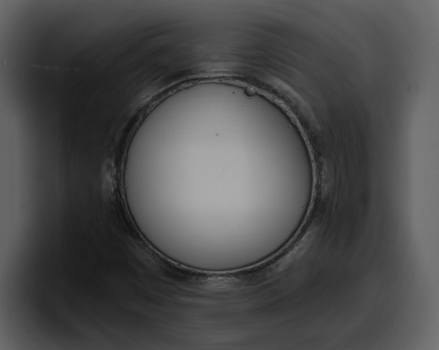 X0000100321449200806190953