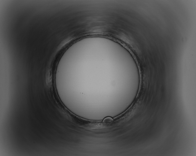 X0000100321450200806190953