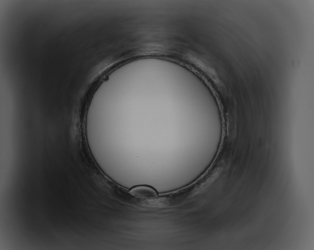 X0000100321453200806190953