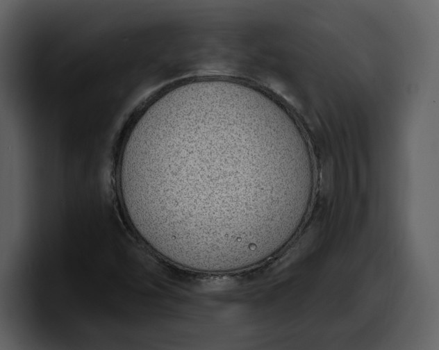 X0000100321454200806190953