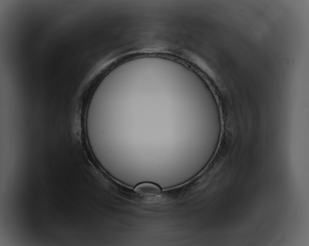 X0000100321456200806190953