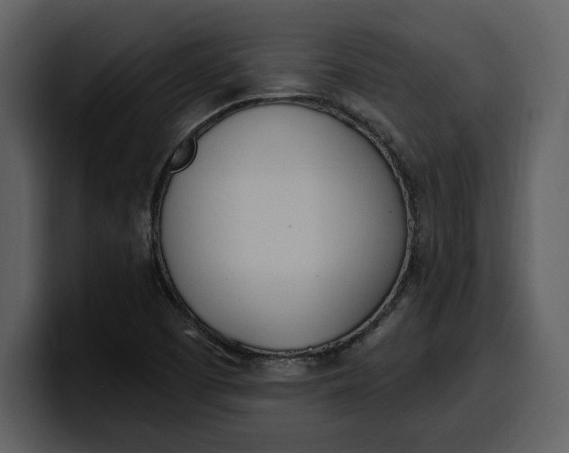 X0000100321457200806190953