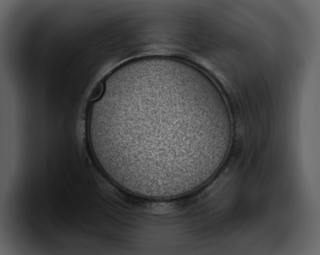 X0000100321459200806190953