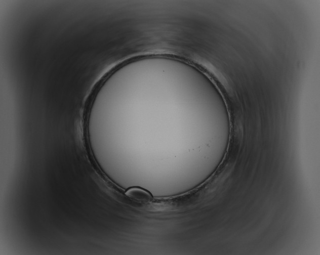 X0000100321460200806190953