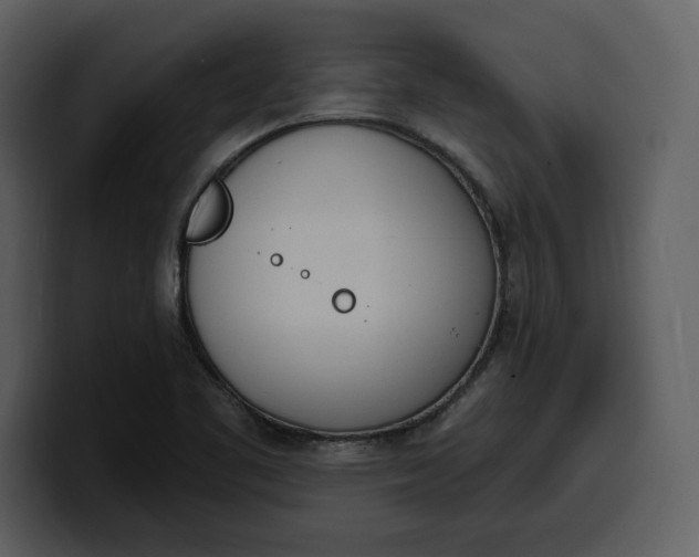 X0000100321461200806190953