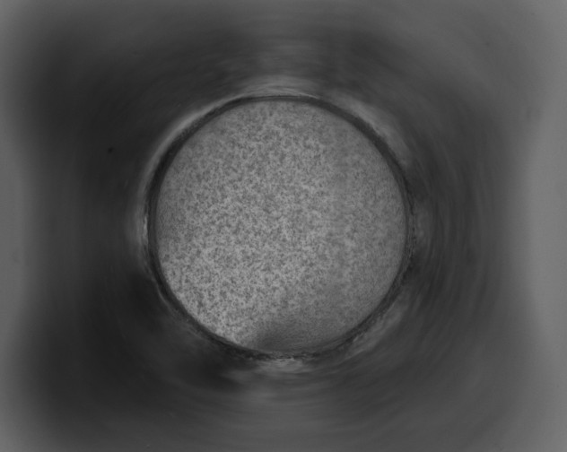 X0000100321462200806190953