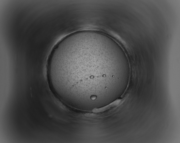 X0000100321463200806190953