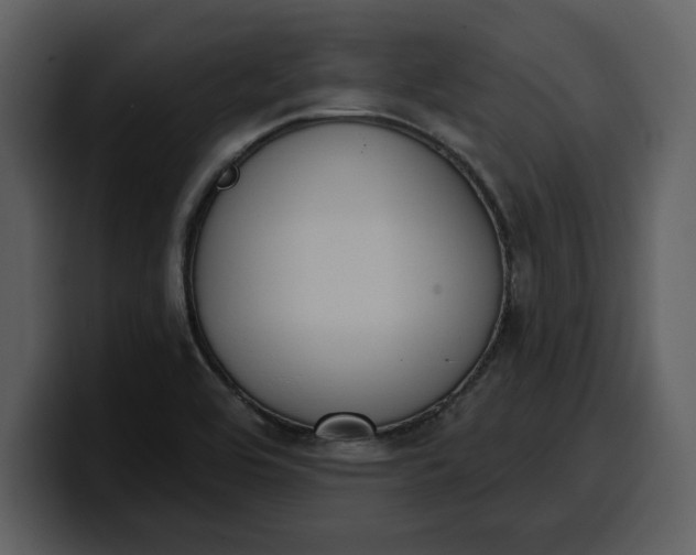 X0000100321464200806190953