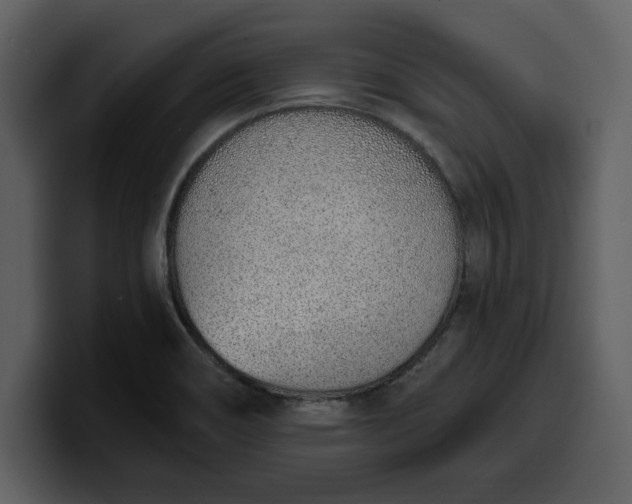 X0000100321466200806190953