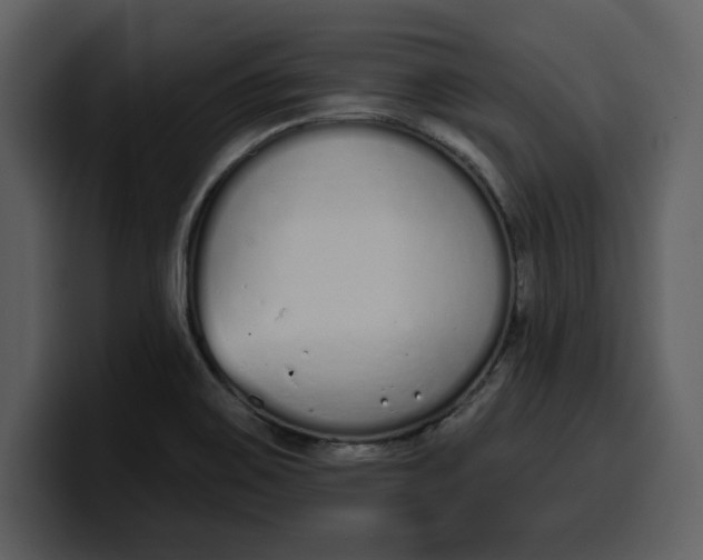 X0000100321467200806190953