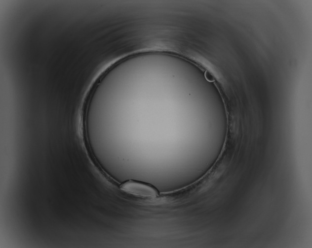 X0000100321468200806190953