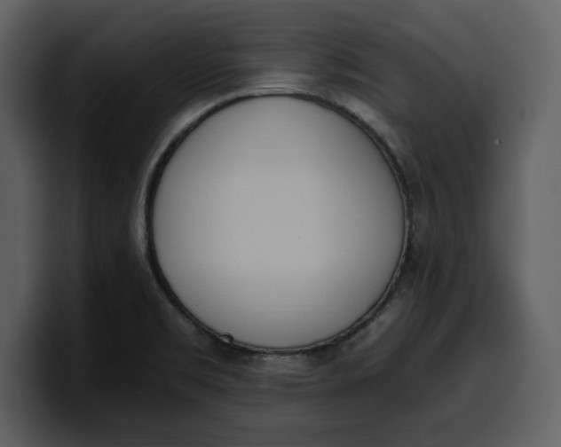 X0000100321469200806190953