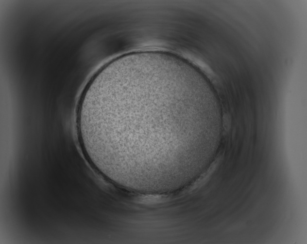 X0000100321470200806190953