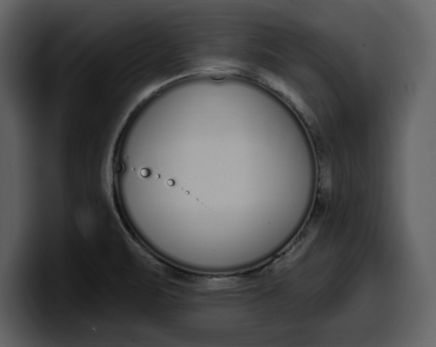 X0000100321471200806190953