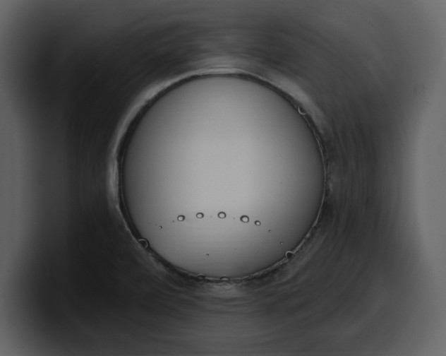 X0000100321472200806190953