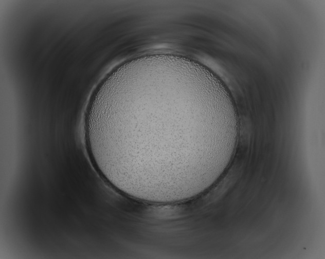 X0000100321474200806190953