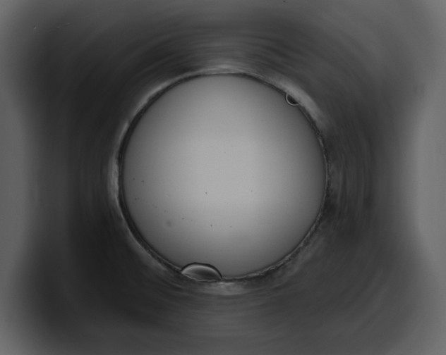 X0000100321476200806190953