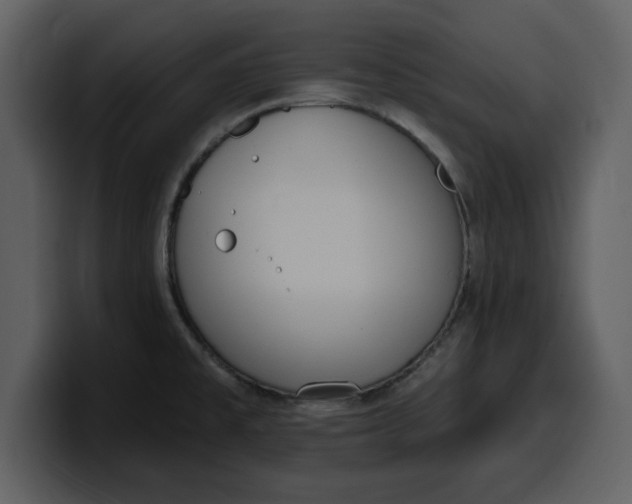 X0000100321477200806190953