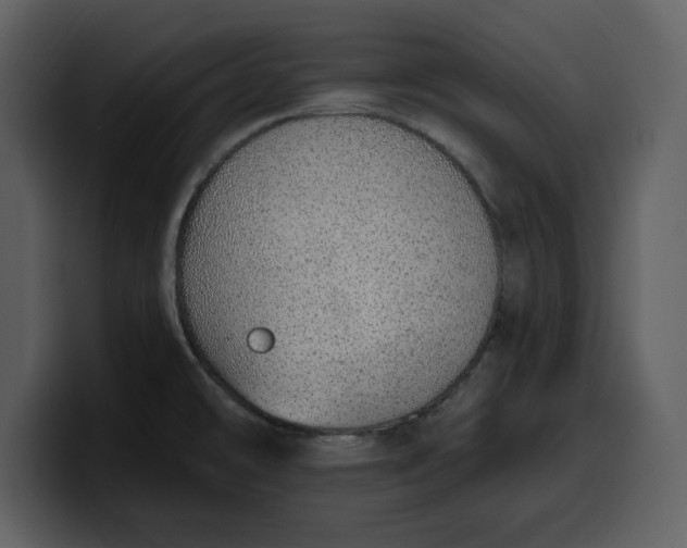 X0000100321478200806190953