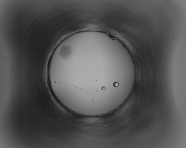 X0000100321479200806190953