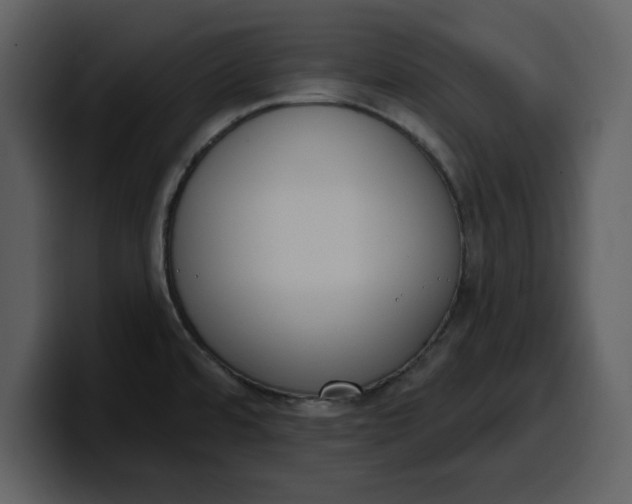 X0000100321480200806190953